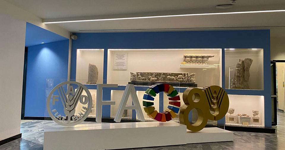 un global compact network italia al primo workshop globale sulle voluntary national review organizzato da fao 02