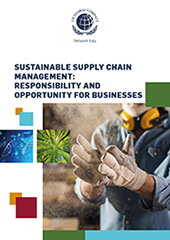 Report Italian Businesses Practices Towards Sustainable Development